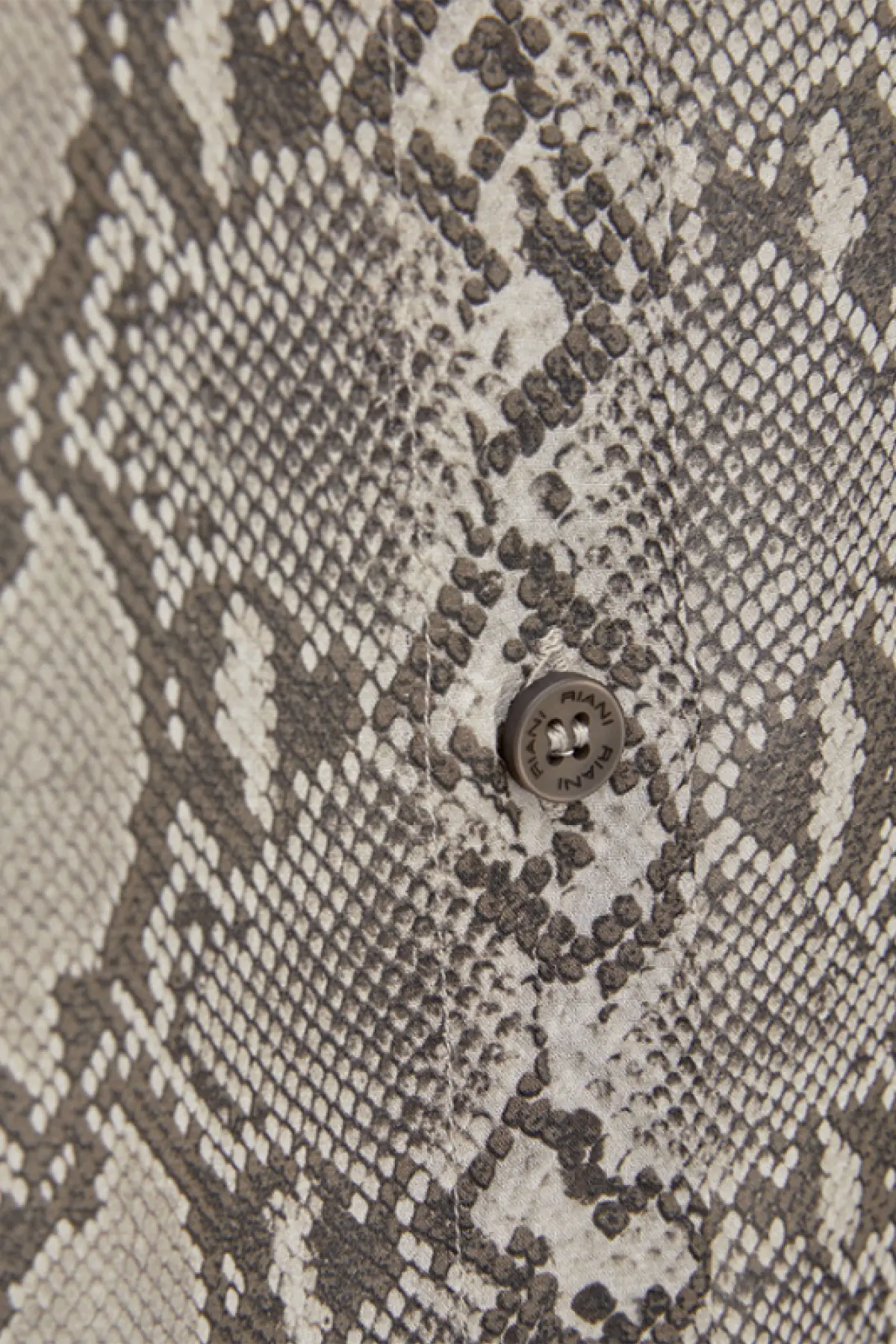 Riani-3 585800 (1) Riani-3 585800 (1)